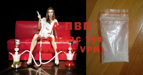 PSILOCYBIN Баксан
