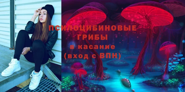 ешки Аркадак