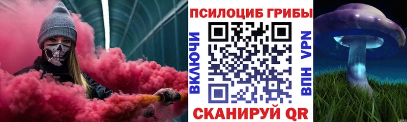 darknet состав  купить закладку  KRAKEN онион  Пустошка  Галлюциногенные грибы мухоморы 